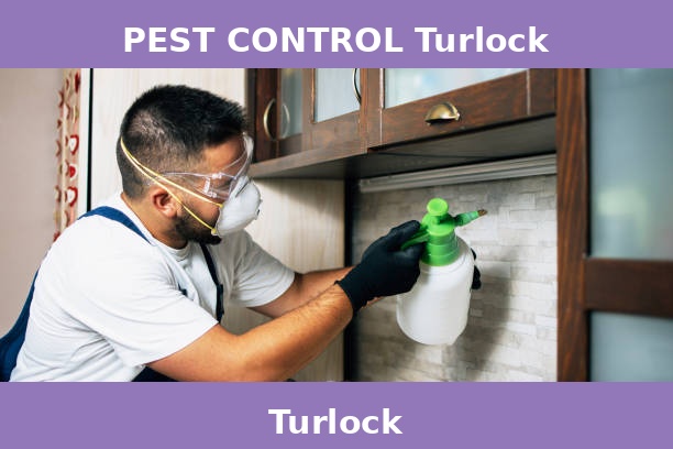 PEST CONTROL Turlock